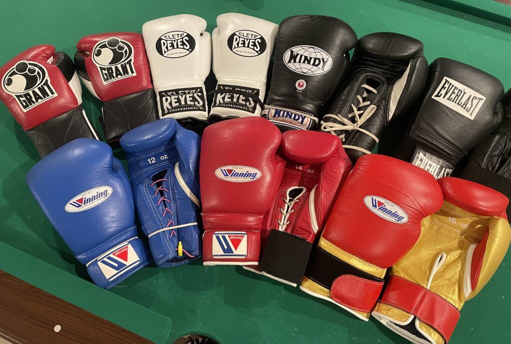 Muay Thai gloves